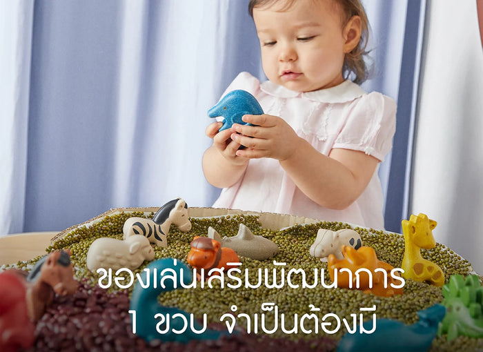 ของเล่นเสริมพัฒนาการ-เด็กวัย 1 ขวบ
