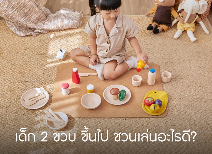 ของเล่น-สำหรับเด็ก 2 ขวบ ขึ้นไป