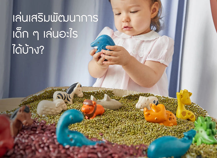 ของเล่น-เล่นเสริมพัฒนาการ