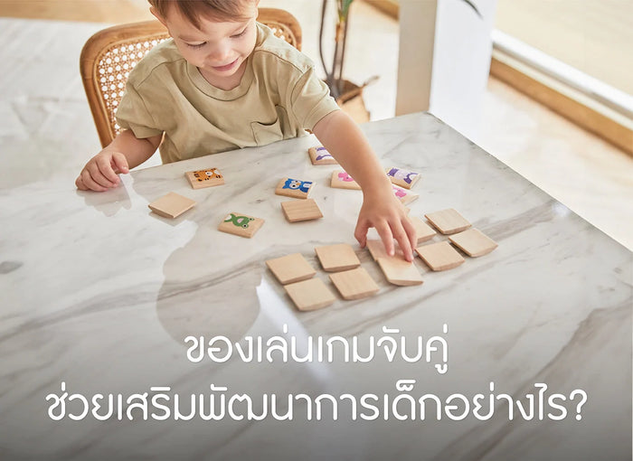 ของเล่น-เกมจับคู่