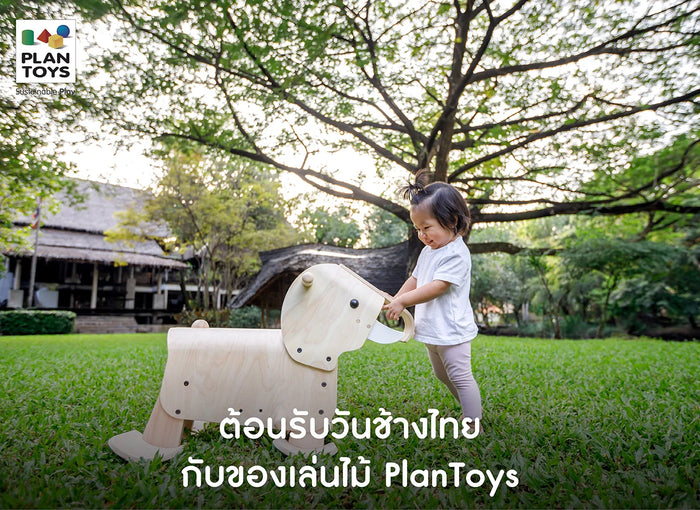 Elephant-wooden-toys-set