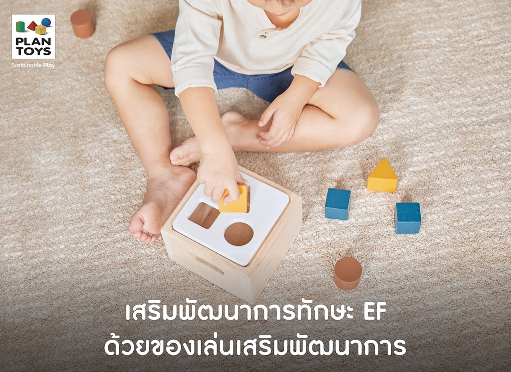 Improve-EF-with-wooden-toys