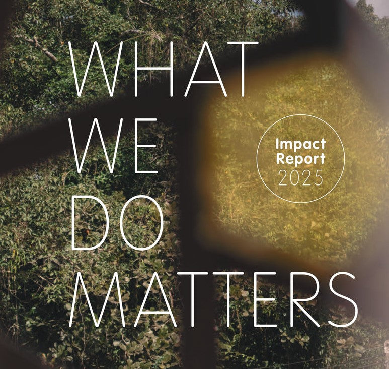 PlanToys – open the Impact Report 2025