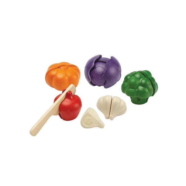 5 Colors Veggie Set - PlanToys Thailand