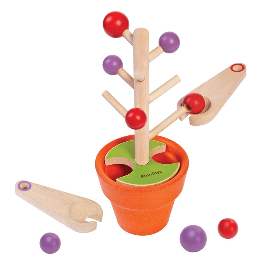 PlanToys Pick A Berry wooden toy ของเล่นไม้แปลนทอยส์ เกมเก็บเบอร์รี่ ประเภทเกมฝึกคิด สำหรับอายุ 3 ปีขึ้นไป