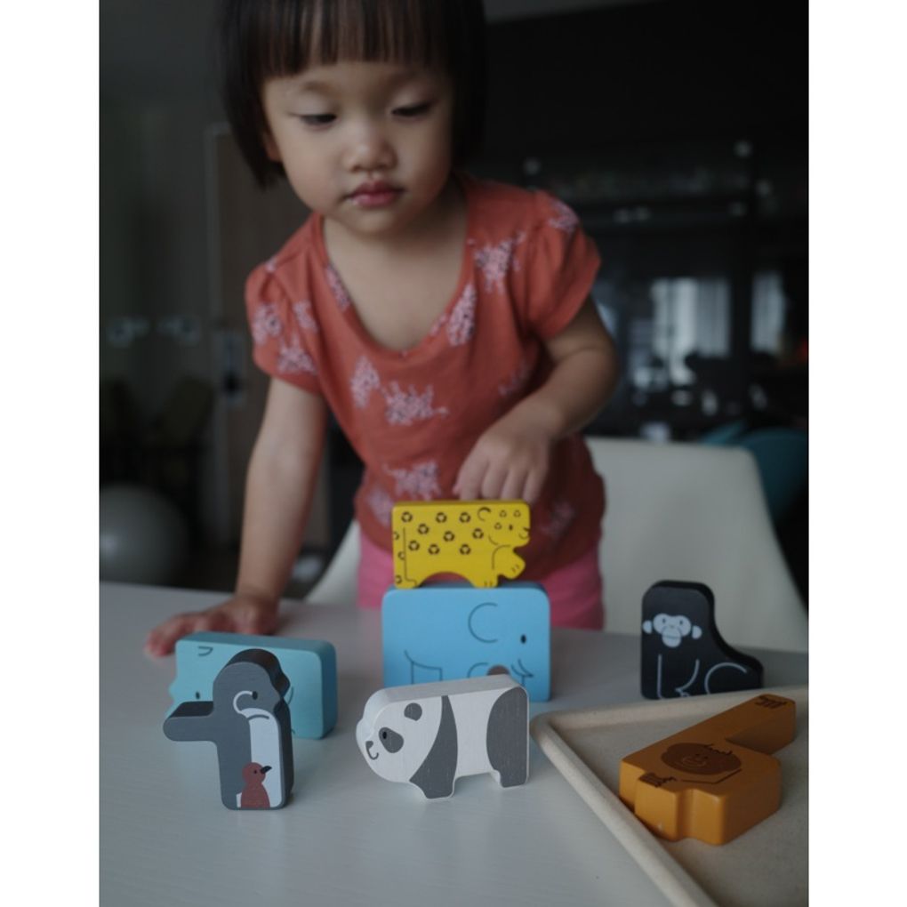 Kid playing PlanToys Animal Puzzle Game เด็กกำลังเล่นจิ๊กซอว์สัตว์แปลนทอยส์