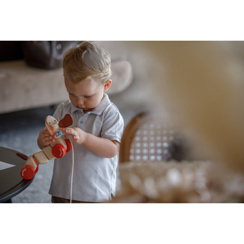 Kid playing PlanToys Happy Puppy เด็กกำลังเล่นเจ้าหมาน้อยลากจูงแปลนทอยส์