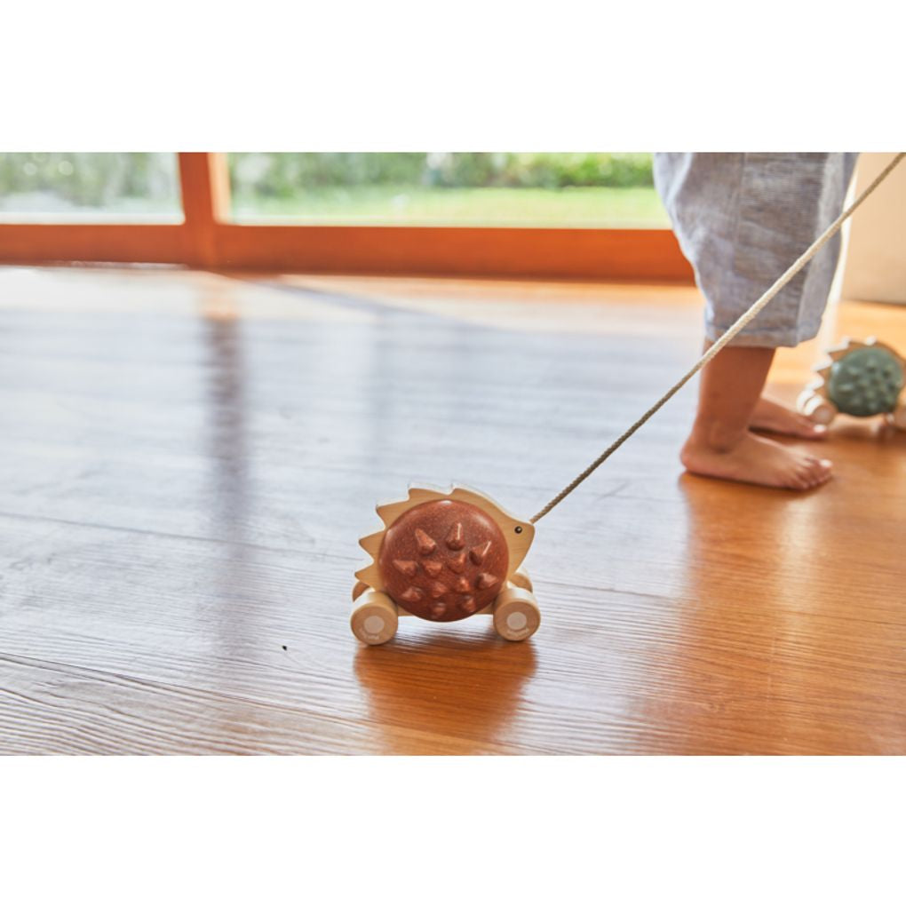 Kid playing PlanToys Pull Along - Hedgehog - Brown เด็กกำลังเล่นเม่นลากจูงแปลนทอยส์