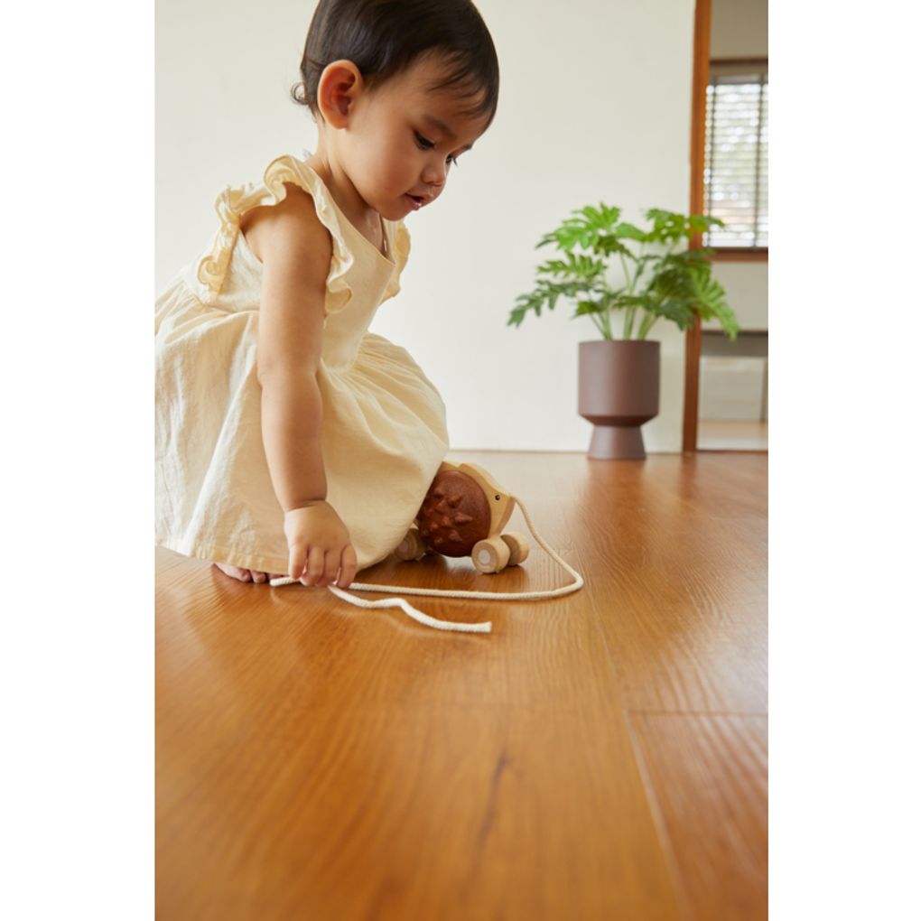 Kid playing PlanToys Pull Along - Hedgehog - Brown เด็กกำลังเล่นเม่นลากจูงแปลนทอยส์