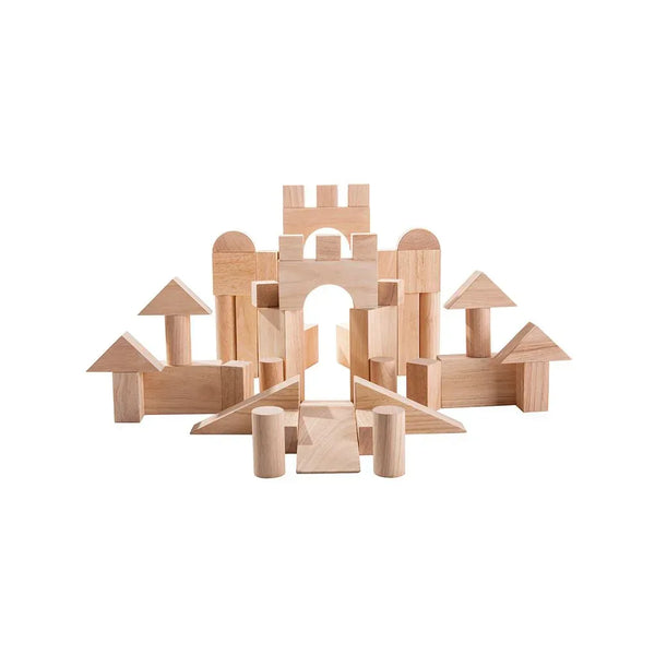 50 Unit Blocks - PlanToys Thailand