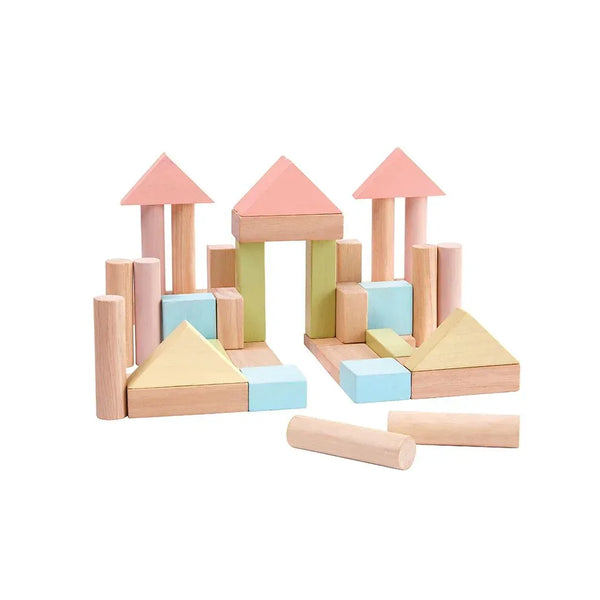 40 Unit Blocks - PlanToys Thailand