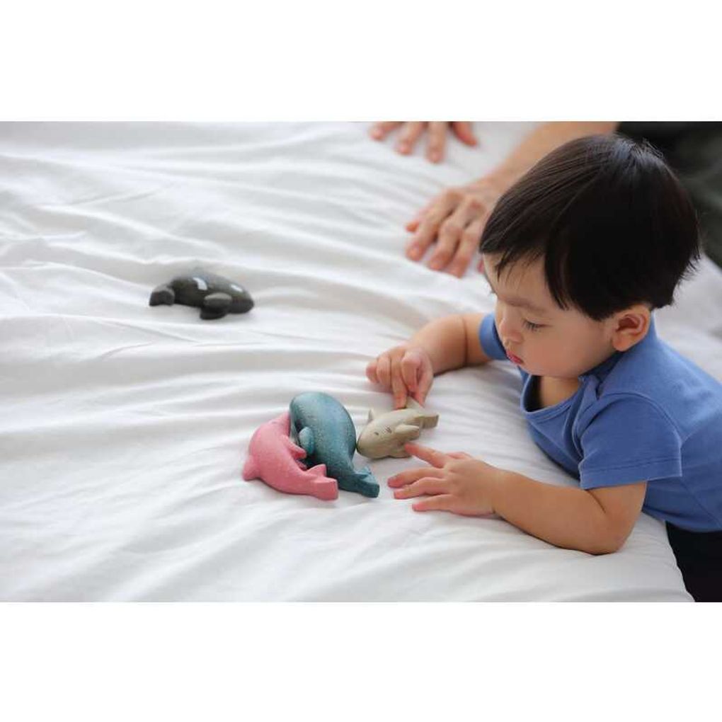 Kid playing PlanToys Shark เด็กกำลังเล่นตุ๊กตาปลาฉลามแปลนทอยส์