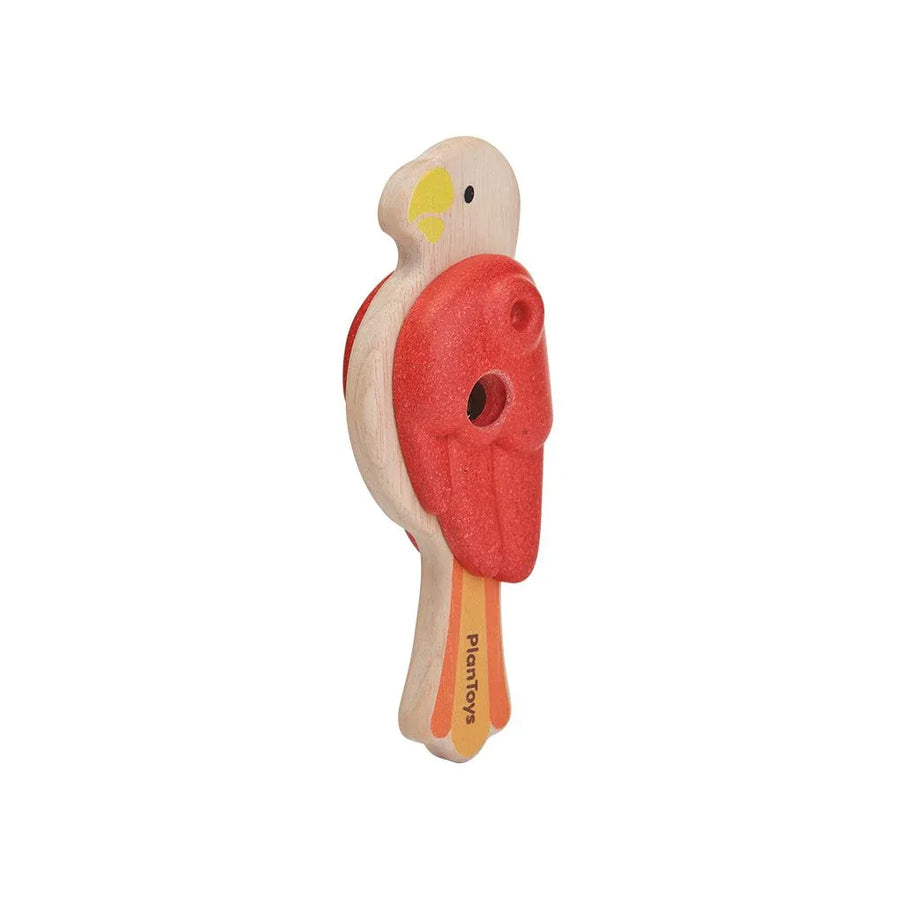 Bird percussion - Parrot