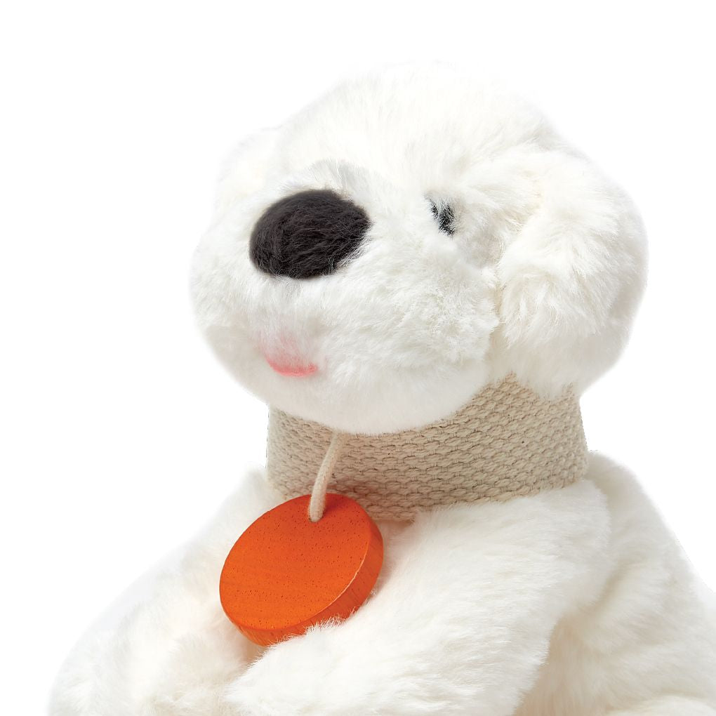 PlanToys Pet Care Set wooden toy ของเล่นไม้แปลนทอยส์ ชุดดูแลสัตว์เลี้ยง ประเภทบทบาทสมมุติ สำหรับอายุ 3 ปีขึ้นไป